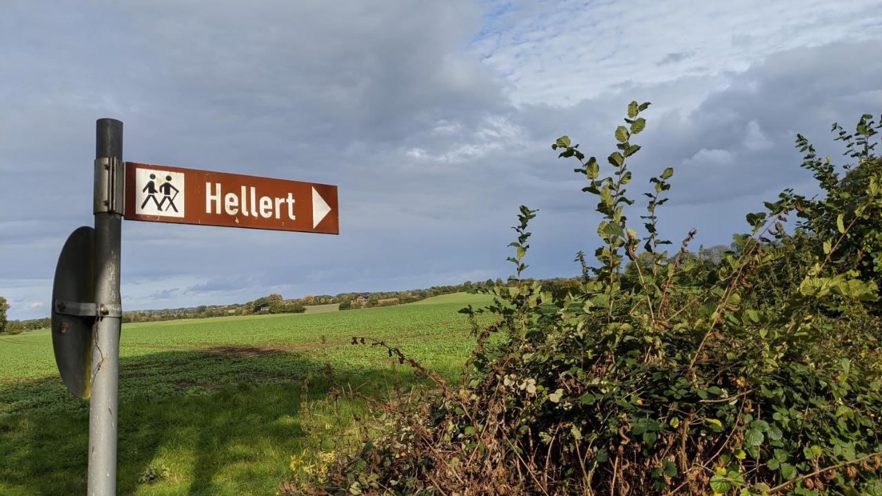 Holtdeel *